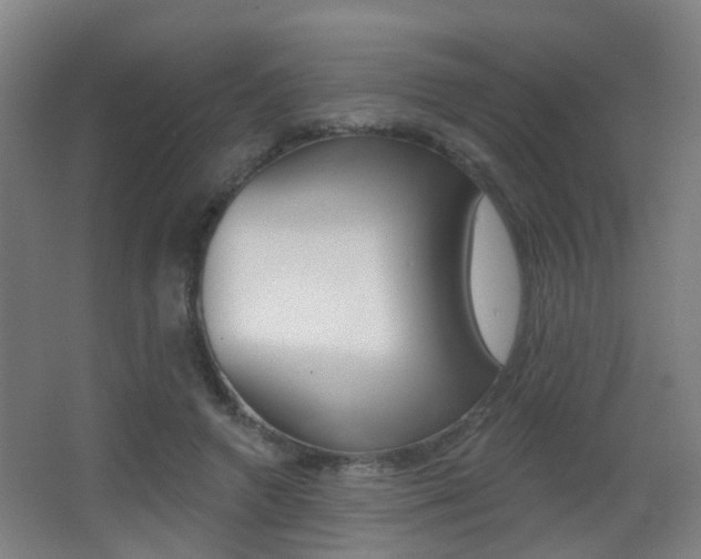 X0000062890546200601131019