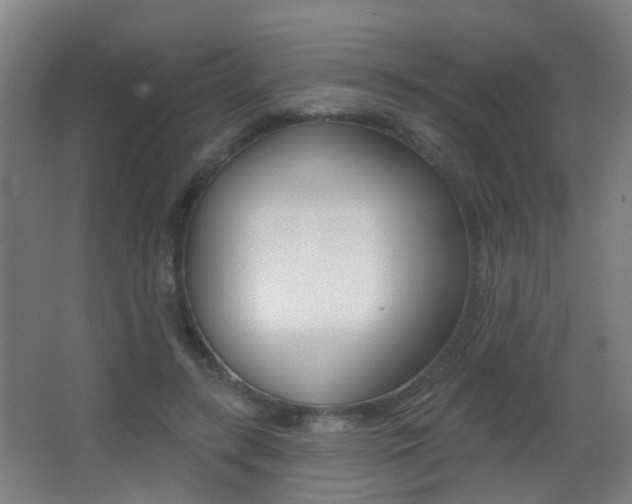 X0000062890547200601131019