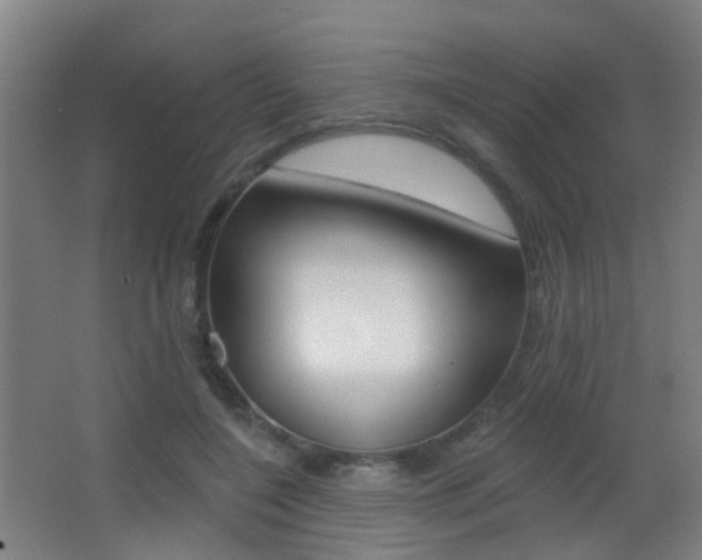 X0000062890548200601131020