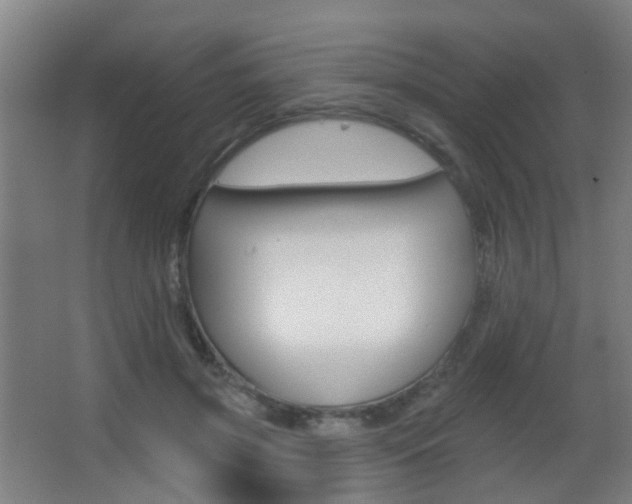 X0000062890549200601131020