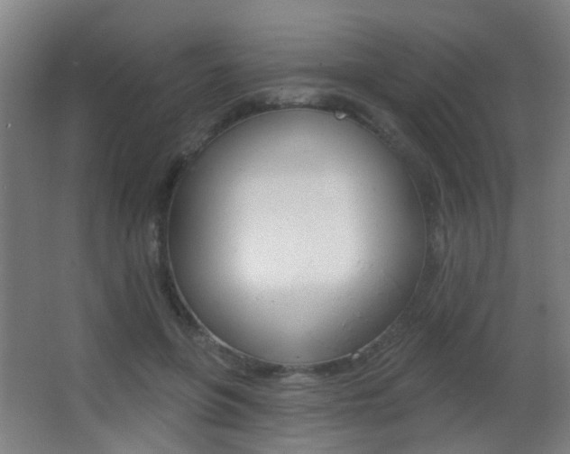 X0000062890551200601131020