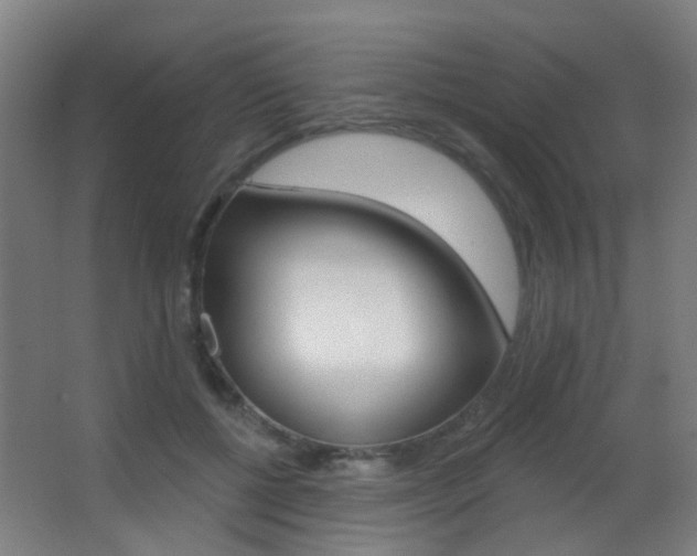 X0000062890552200601131020