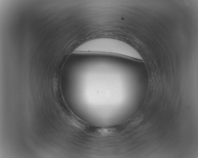 X0000062890558200601131020