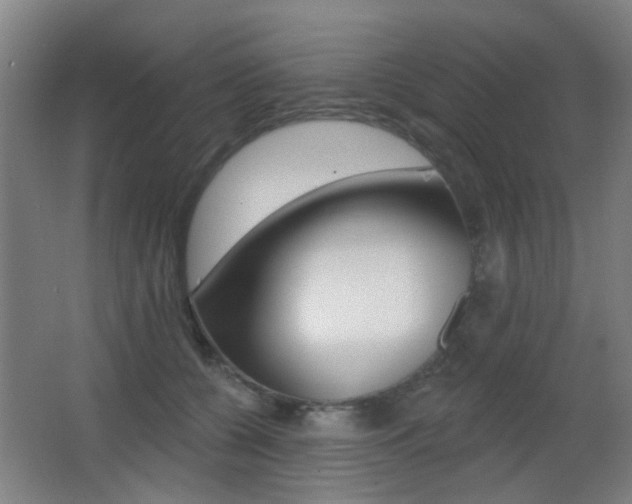 X0000062890560200601131020