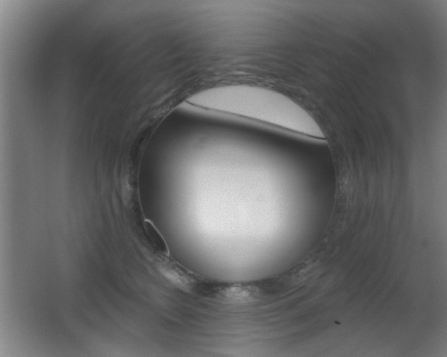 X0000062890566200601131020
