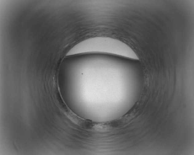 X0000062890568200601131020