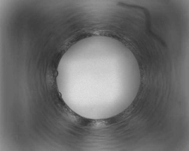 X0000062890569200601131020