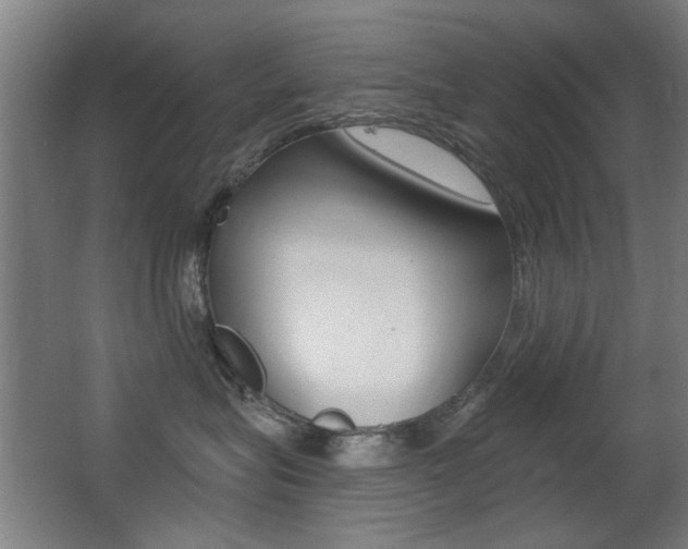 X0000062890575200601131020