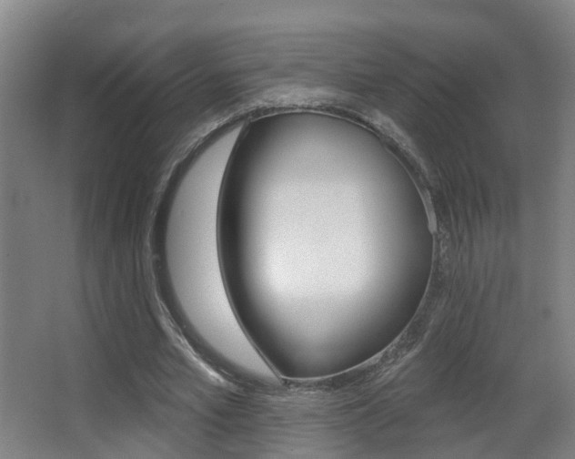 X0000062890581200601131019