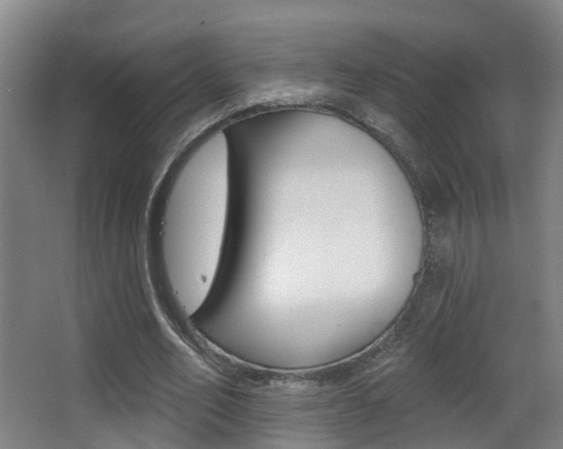 X0000062890582200601131019