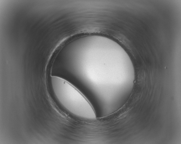X0000062890584200601131019