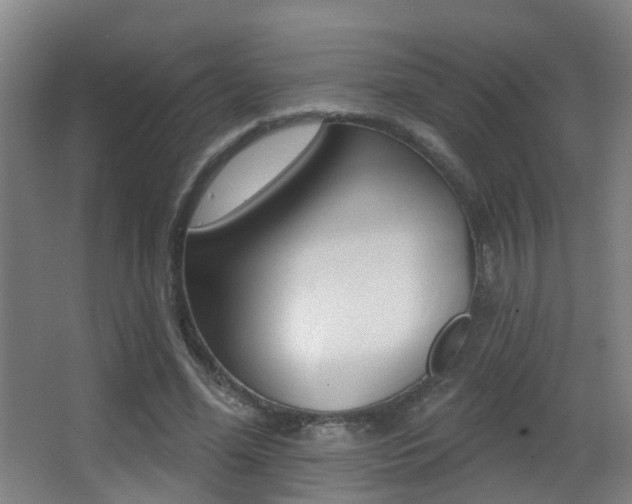 X0000062890588200601131019