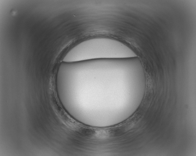 X0000062890591200601131019
