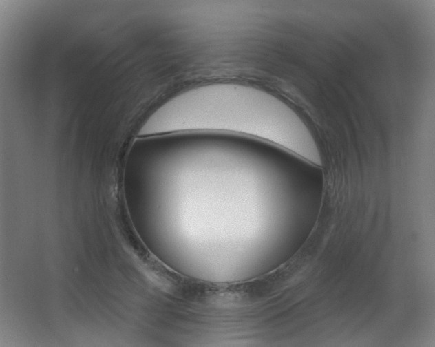 X0000062890593200601131019
