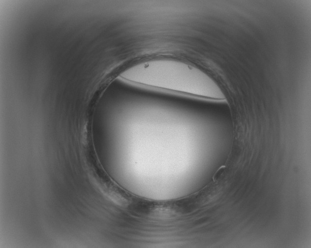 X0000062890596200601131019