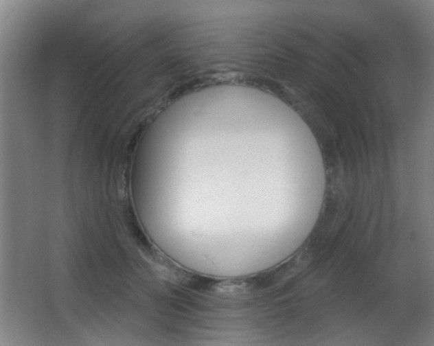 X0000062890606200601131019
