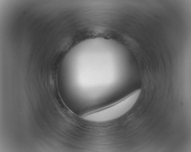 X0000062890607200601131019