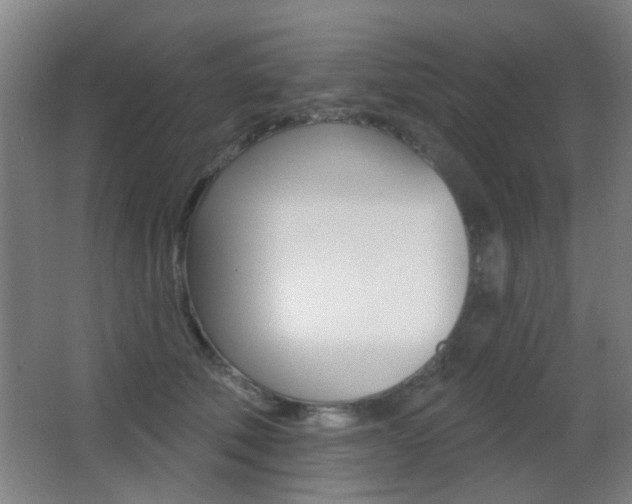 X0000062890610200601131019