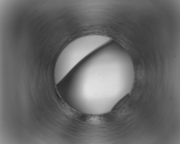 X0000062890611200601131019