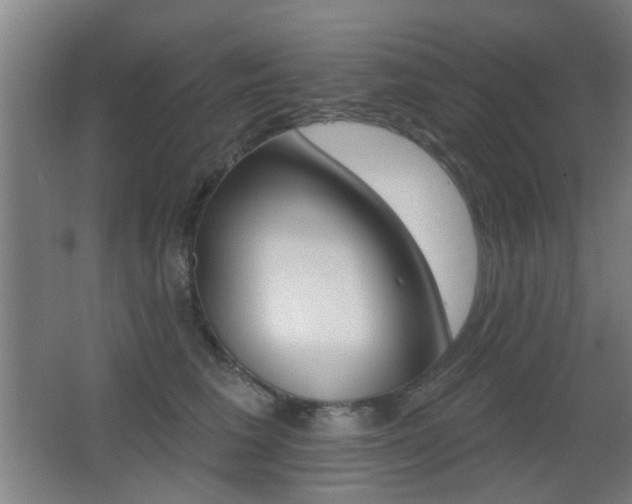 X0000062890613200601131019