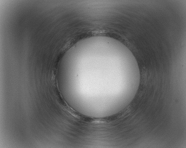 X0000062890614200601131019