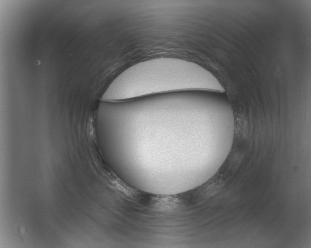 X0000062890621200601131018