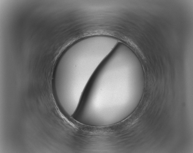 X0000062890625200601131017