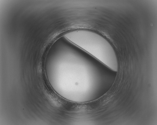 X0000062890631200601131018