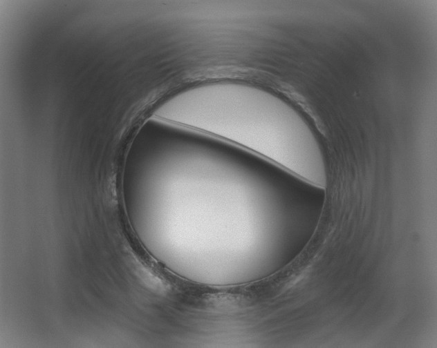 X0000062890633200601131018