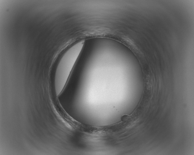 X0000062890634200601131018