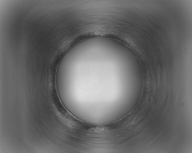 X0000062890639200601131018