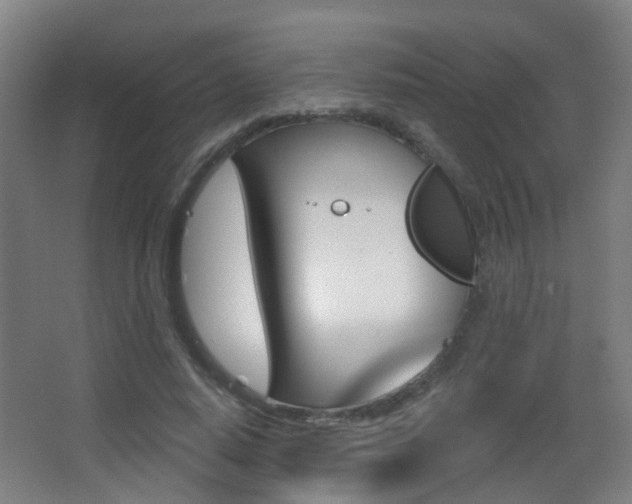 X0000062890640200601131018
