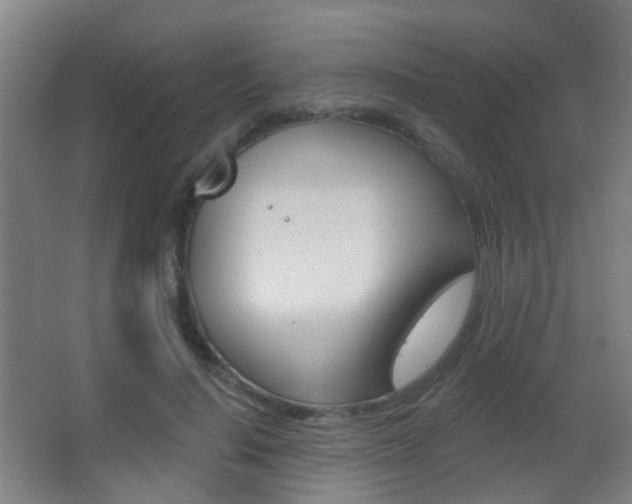 X0000062890644200601131018