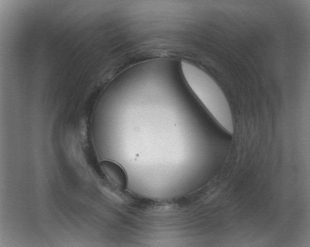 X0000062890646200601131018