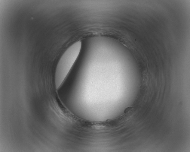 X0000062890650200601131018