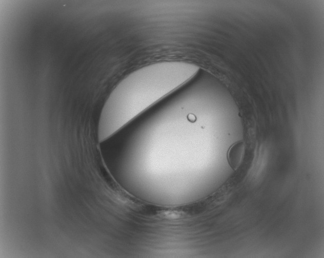 X0000062890654200601131018