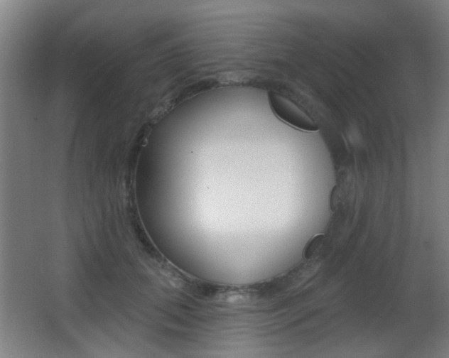 X0000062890655200601131018
