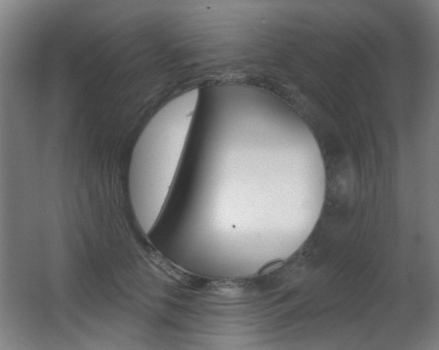 X0000062890658200601131018