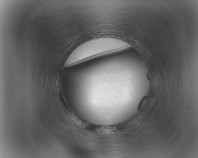 X0000062890661200601131018