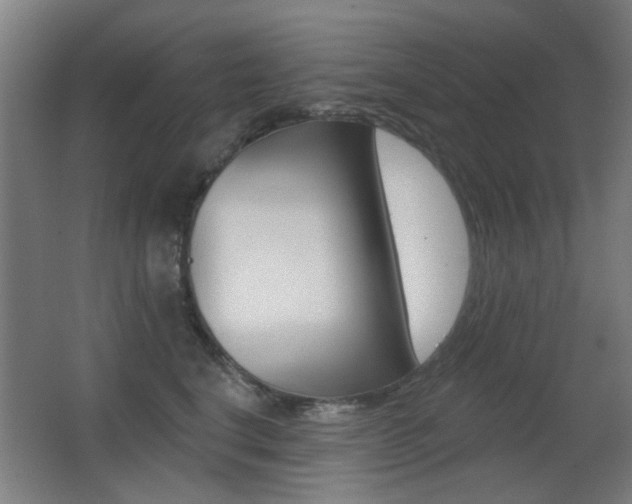 X0000062890664200601131018