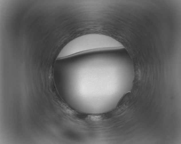 X0000062890665200601131018