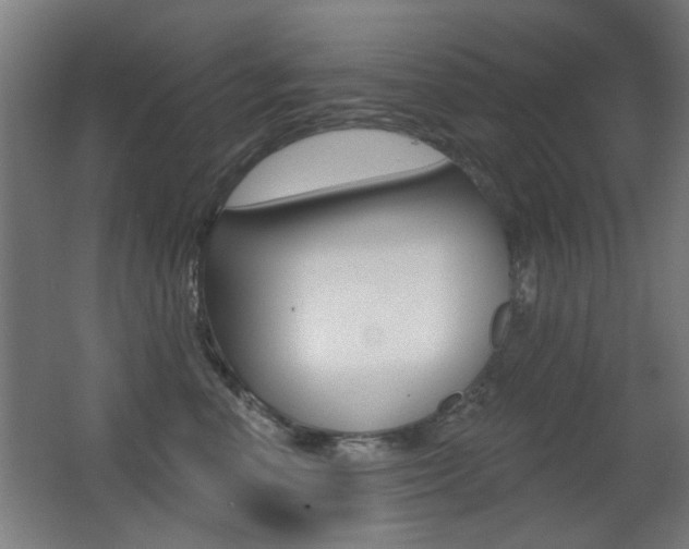 X0000062890666200601131018