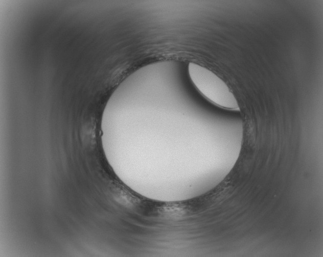 X0000062890668200601131018