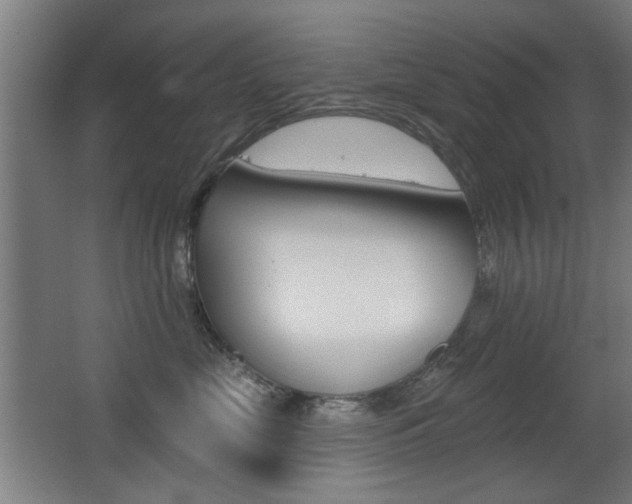 X0000062890669200601131018
