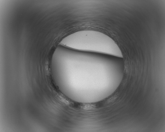 X0000062890670200601131018