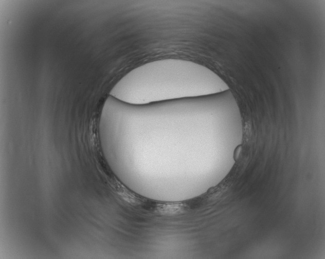 X0000062890671200601131018