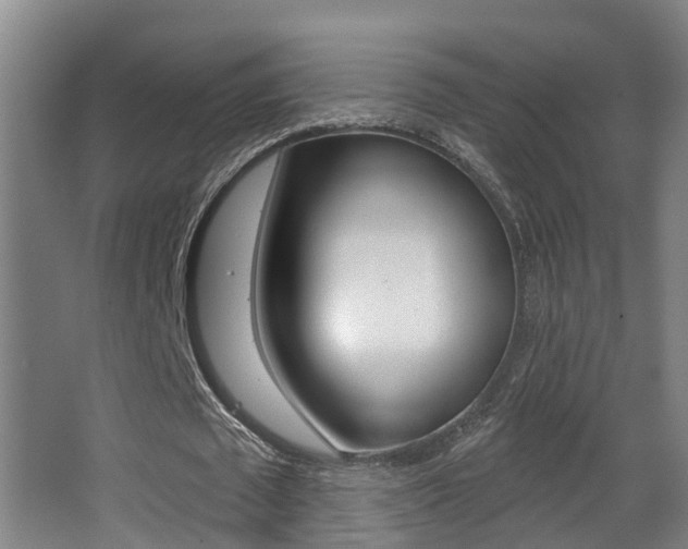 X0000062890673200601131017