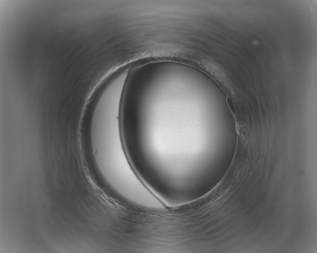 X0000062890676200601131017