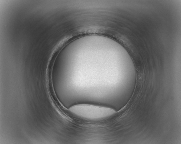 X0000062890678200601131017
