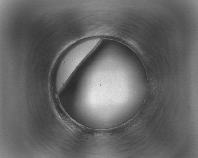 X0000062890680200601131017